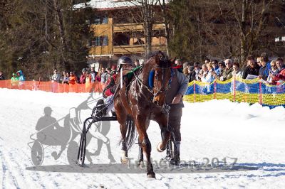 20170219_r05_108.jpg