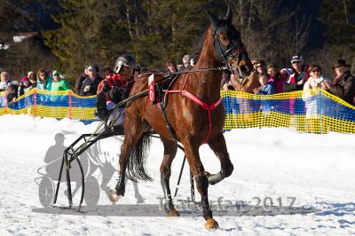 20170219_r07_102.jpg