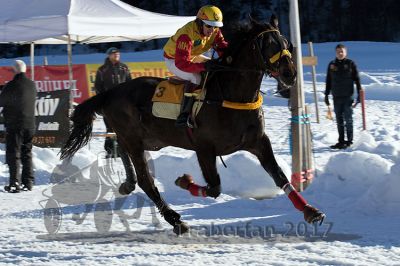 20170219_r08_055.jpg