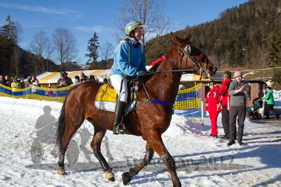 20170219_r08_103.jpg