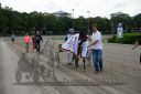 20170805_r11_3_110_R11_0175.jpg
