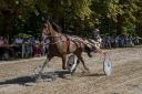 Dateiname=20170815_ja_104_103CANON_IMG_0003.jpg
Dateigröße=155KB
Abmessungen: 750x500
hinzugefügt am: 17. August 2017 20170815_ja_104_103CANON_IMG_0003.jpg