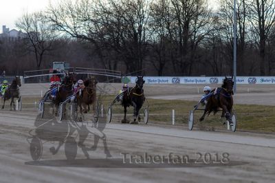 20180311_r07_045_R07_0100.jpg