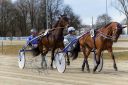 Dateiname=20180311_101Canon_005_IMG_0015.jpg
Dateigröße=259KB
Abmessungen: 750x500
hinzugefügt am: 12. März 2018 20180311_101Canon_005_IMG_0015.jpg