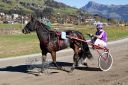 Dateiname=20181026_ja_070_102CANON_IMG_0031.jpg
Dateigröße=149KB
Abmessungen: 750x500
hinzugefügt am: 29. Oktober 2018 20181026_ja_070_102CANON_IMG_0031.jpg