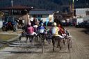 Dateiname=20181026_ja_122_103CANON_IMG_0092.jpg
Dateigröße=122KB
Abmessungen: 750x500
hinzugefügt am: 29. Oktober 2018 20181026_ja_122_103CANON_IMG_0092.jpg