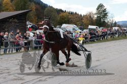 Dateiname=20231022_r04_030_RO4_0099.jpg
Dateigröße=196KB
Abmessungen: 1000x667
hinzugefügt am: 28. Oktober 2023 20231022_r04_030_RO4_0099.jpg