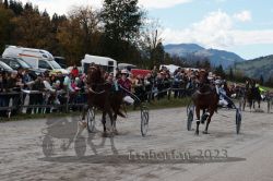 Dateiname=20231022_r04_132_RO4_0333.jpg
Dateigröße=194KB
Abmessungen: 1000x667
hinzugefügt am: 28. Oktober 2023 20231022_r04_132_RO4_0333.jpg