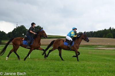 20250727_imp_080_DSC_5417.jpg