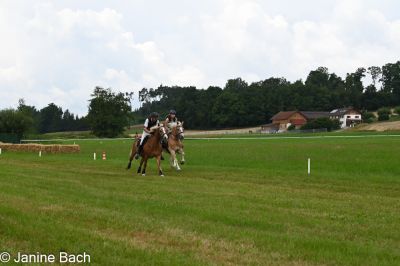 20250727_imp_089_DSC_5427.jpg