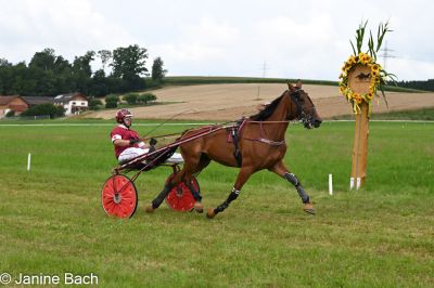 20250727_imp_115_DSC_5461.jpg