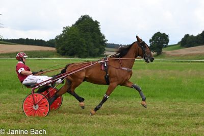 20250727_imp_117_DSC_5463.jpg
