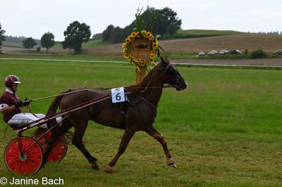 20250727_r01_017_DSC_5597.jpg