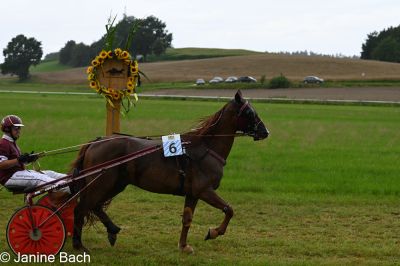 20250727_r01_018_DSC_5598.jpg