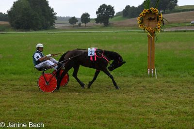 20250727_r01_030_DSC_5610.jpg