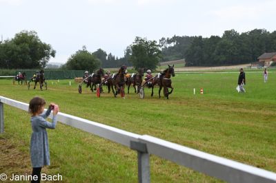 20250727_r01_062_DSC_5645.jpg