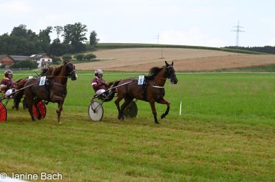 20250727_r01_063_DSC_5646.jpg
