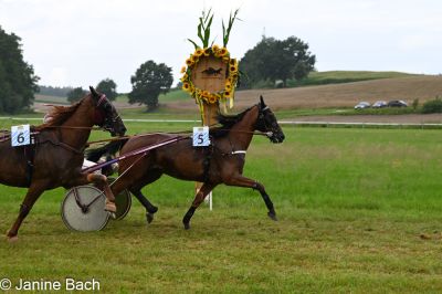 20250727_r01_067_DSC_5650.jpg