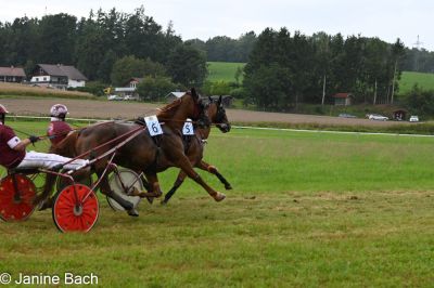 20250727_r01_071_DSC_5654.jpg