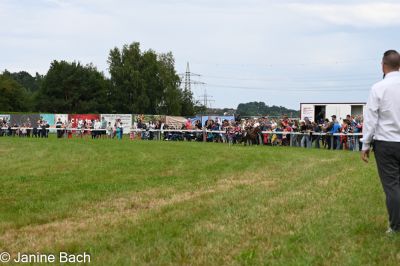20250727_r04_131_DSC_5967.jpg
