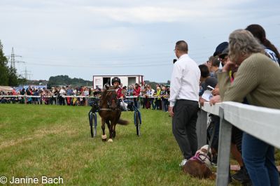 20250727_r04_136_DSC_5972.jpg