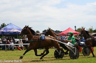 20250727_r05_099_DSC_6079.jpg