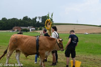 20250727_r06_036_DSC_6186.jpg