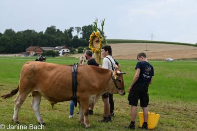 20250727_r06_037_DSC_6187.jpg