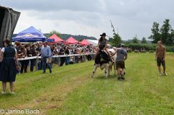 20250727_r06_061_DSC_6211.jpg
