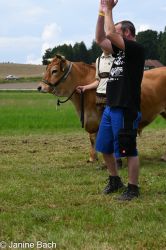 20250727_r06_072_DSC_6223.jpg