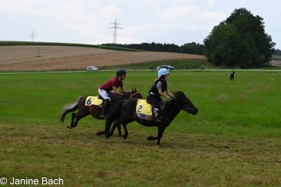 20250727_r07_011_DSC_6235.jpg