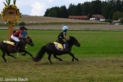20250727_r07_015_DSC_6239.jpg