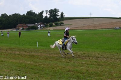 20250727_r07_017_DSC_6241.jpg