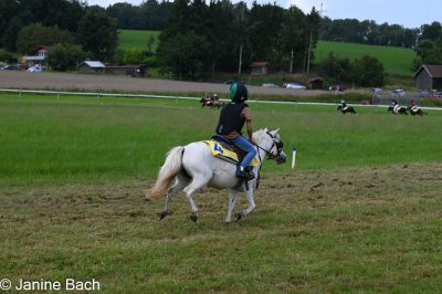 20250727_r07_022_DSC_6246.jpg