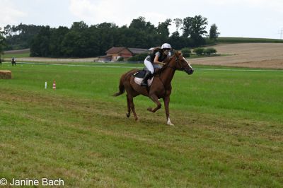 20250727_r08_022_DSC_6310.jpg