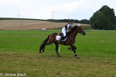 20250727_r08_032_DSC_6320.jpg