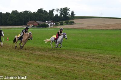 20250727_r09_004_DSC_6406.jpg