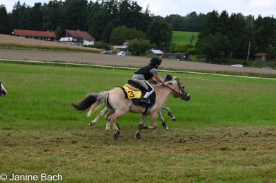 20250727_r09_009_DSC_6411.jpg