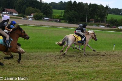 20250727_r09_010_DSC_6412.jpg