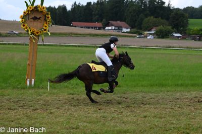 20250727_r09_013_DSC_6415.jpg
