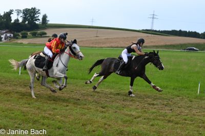 20250727_r10_001_DSC_6463.jpg