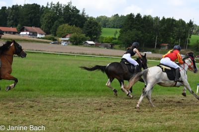 20250727_r10_005_DSC_6469.jpg