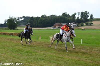 20250727_r10_008_DSC_6472.jpg