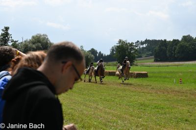 20250727_r11_010_DSC_6531.jpg