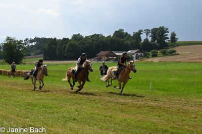 20250727_r11_012_DSC_6533.jpg