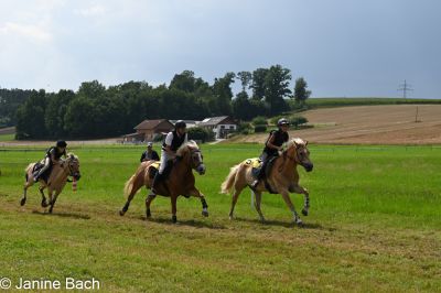 20250727_r11_013_DSC_6534.jpg