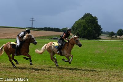 20250727_r11_014_DSC_6535.jpg
