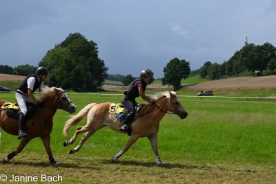 20250727_r11_015_DSC_6536.jpg