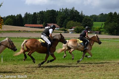 20250727_r11_019_DSC_6540.jpg