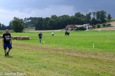 20250727_r12_013_DSC_6578.jpg